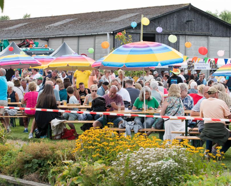 Zomerfeest 25 sfeer